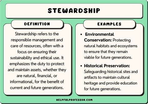 Image result for How to Implement Stewardship