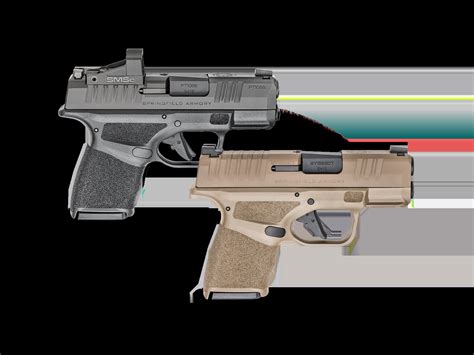 Image result for Springfield Hellcat Models