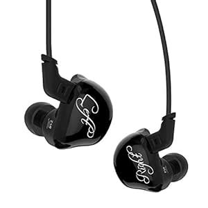 Mahoyo Earphone, KZ ZSR 2BA+DD 6 Drivers Earphone Earbuds in Ear HiFi ...