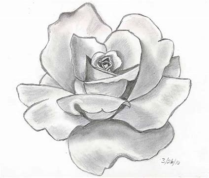 how to draw a rose using s