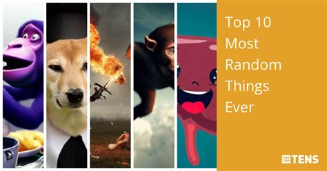 Image result for Most Random