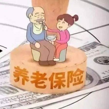 2018沧州社保缴费基数与比例