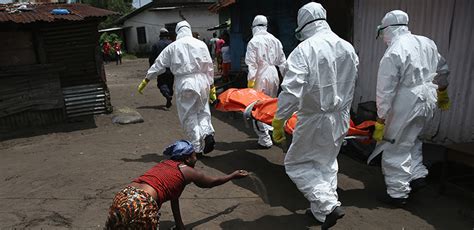 肆虐各地的埃博拉病毒，究竟是如何兴起的？_腾讯新闻