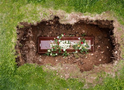 Green Funerals: Exploring Environmentally Friendly Burial Options ...