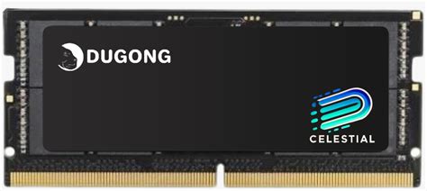 Dugong International