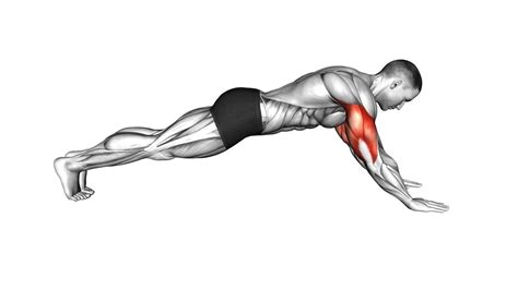 Bodyweight Triceps Extension: Plank Position (Male) - Video Guide & Tips