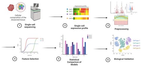 Image result for Cell Annotation