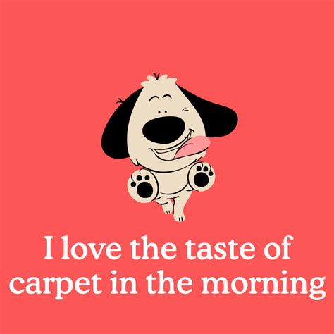 Help! Why Is My Dog Constantly Licking The Floor? - Zigzag