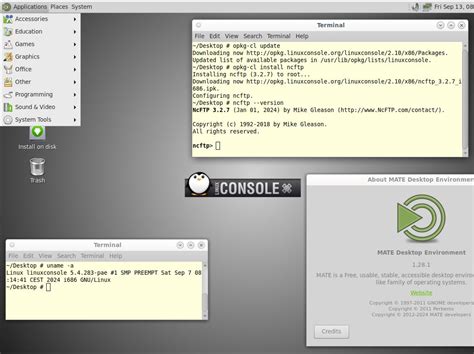 Image result for Linux Console