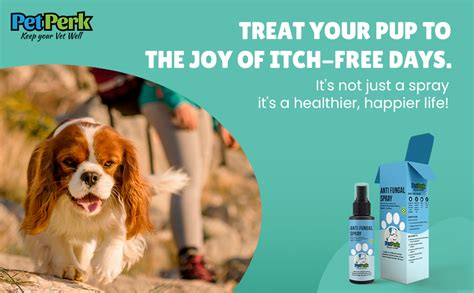 PET PERK Anti-Fungal Spray For Dogs By Prine Nanotech Advanced ...