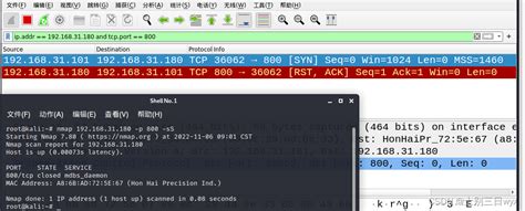 Nmap Scan Me 的图像结果