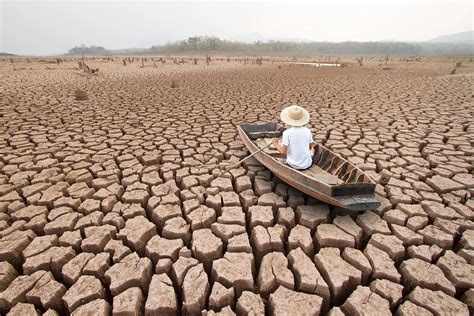 Effects Of Drought On The Environment