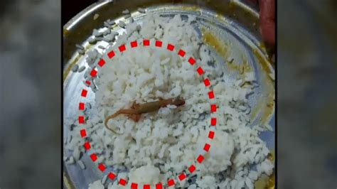 Lizard in mid-day meal of students in Odisha school raises grave concern!