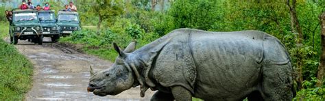 North East India City Guide|India Travel - Indian Panorama