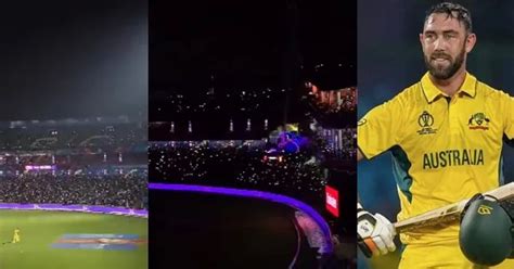 दिल्लीतील 'या' गोष्टीवर ऑसी खेळाडूंमध्ये दोन गट, मॅक्सवेल नाराज, तर ...