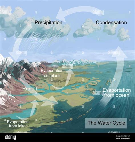 Water Cycle Hawaii at Franklyn Mccord blog