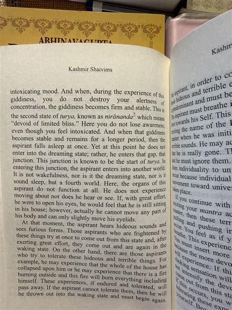 Kashmir Shaivism: The Secret Supreme : Hughes, Professor John ...
