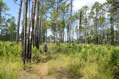 Rock Springs Run State Reserve Hike – Wekiva Wild and Scenic River System