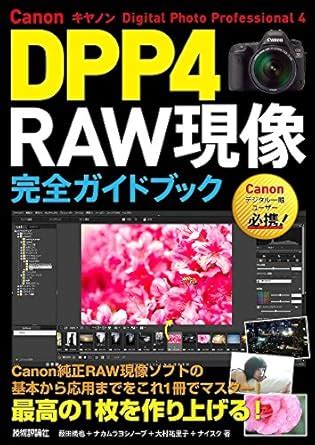 Image result for Canon DPP4 Tutorial