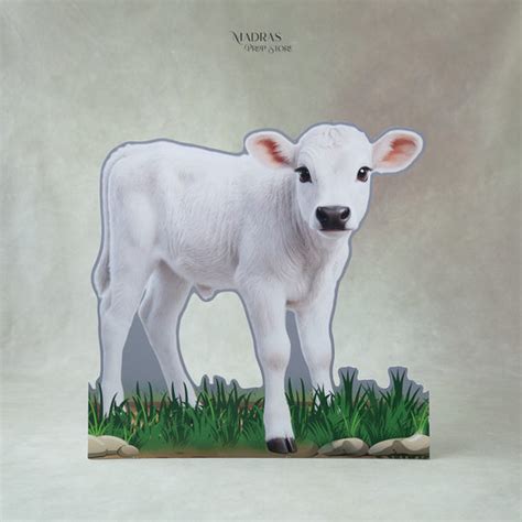 Krishna Theme Calf ( Cutout )| L - 24 * H - 24 Inch (Shipping Extra ...