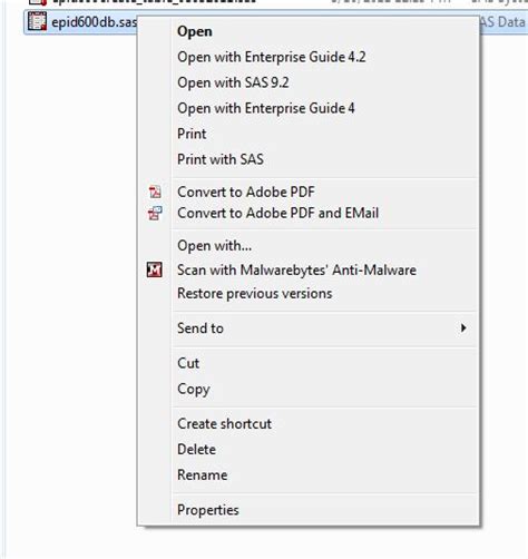 Image result for Open SAS File