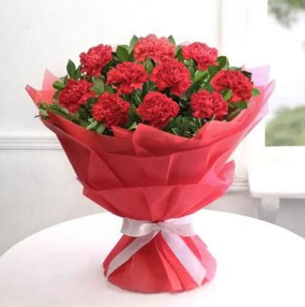 Carnation Flowers Bouquet Delivery Online in India