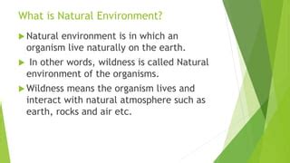 Environment Types 的图像结果