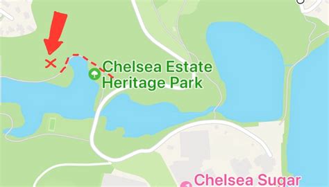 Matariki Weekend Planting Day, Chelsea Estate Heritage Park, Auckland ...