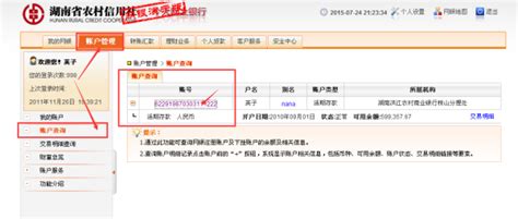 怎样上网查湖南省农村信用社卡上的余额_百度知道