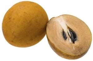Paudha Chikoo (sapota) fruit Seed Price in India - Buy Paudha Chikoo ...