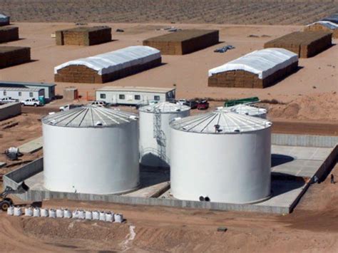 API 650 的图像结果