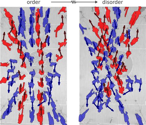 Block the Way 的图像结果
