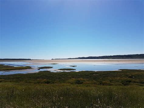 Newborough Forest (Anglesey) - All You Need to Know BEFORE You Go