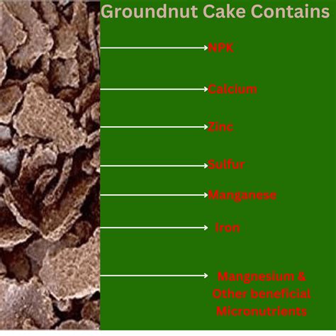 Groundnut Cake / KADALAI Cake | Organic Fertilizer 1.5/2.5/5 Kg – Leafy ...