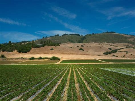 Watsonville Tourism (2024): All You Need to Know Before You Go
