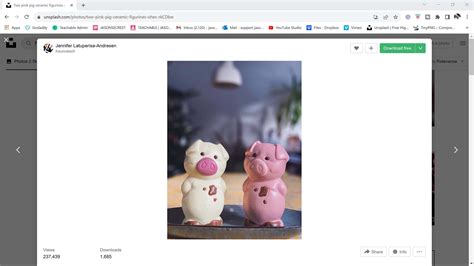 Image result for Adobe Beginner CS4 Illustrator Tutorial