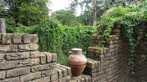 ZooLex Image - Scenery and plants