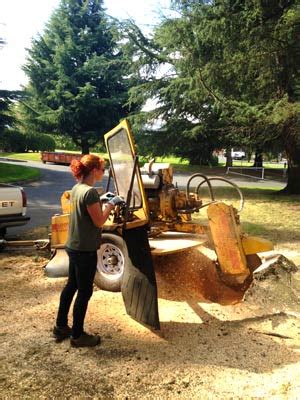 Tree Pruning Portland 的图像结果