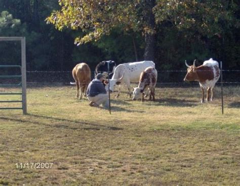 Waterford Tourism (2024): All You Need to Know Before You Go