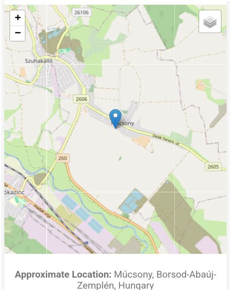 Find Real-Time Location with IP Address 的图像结果