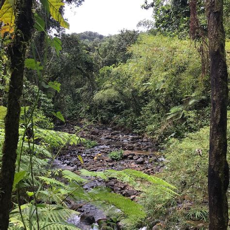 THE BEST Fonds Saint Denis Waterfalls (2025) - with Reviews