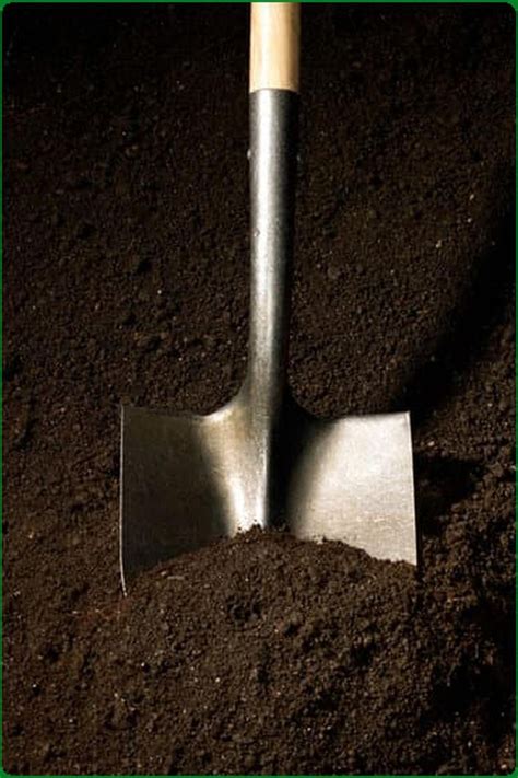 Image result for Horticulture Tips