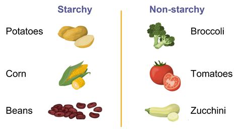 What are starchy vegetables, and how do they differ from non-starchy ...