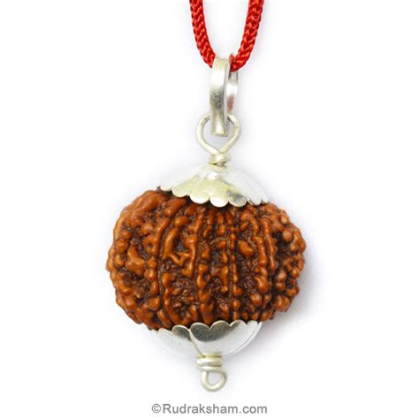 Collector Pendant – Rudraksham