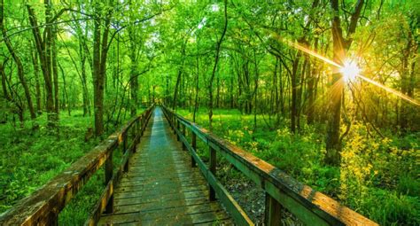 Image result for Bootstrap Loading Modal Example
