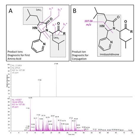 2-Pyridine Carboxaldehyde for Semi-Automated Soft Spot Identification ...