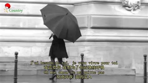 瑟堡的雨伞 I Will Wait For You - YouTube