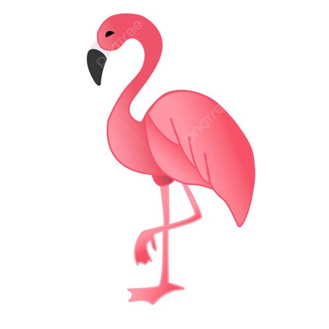 Flamingo Clip Art Flamingo By Hanjorafael Flamingo Png (822x971)
