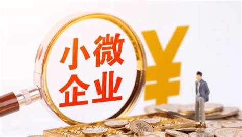 台州为1.2万家小微企业 完成留抵退税近55亿元_发展_工作_增值税