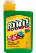 Image result for round up